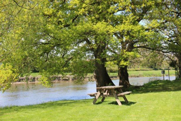 Camping Des 2 Rives- Chambres Etang-sur-Arroux Eksteriør billede